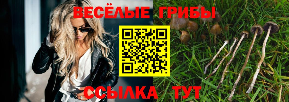 Псилоцибиновые грибы прущие грибы Туапсе