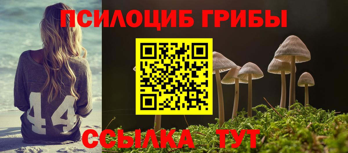 Туапсе  Псилоцибиновые грибы Magic Shrooms  Вход с VPN 